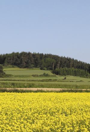 Une énergie durable pour les 2Loires