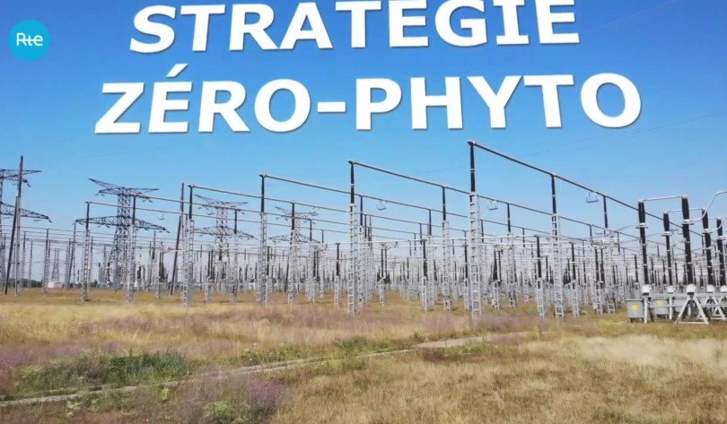 Stratégie zéro-phyto